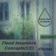  3 hr All Licenses CE - Flood Insurance Concepts (INSCE007FL3)