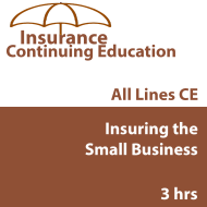 3 hr CE Insuring the Small Business 3 hr CE Insuring the Small Business